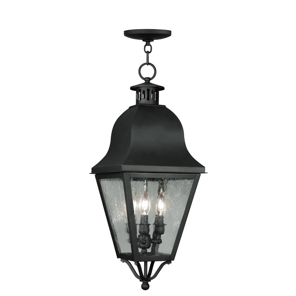 Livex Lighting 2557-04 Amwell Outdoor Chain Hang in Black 